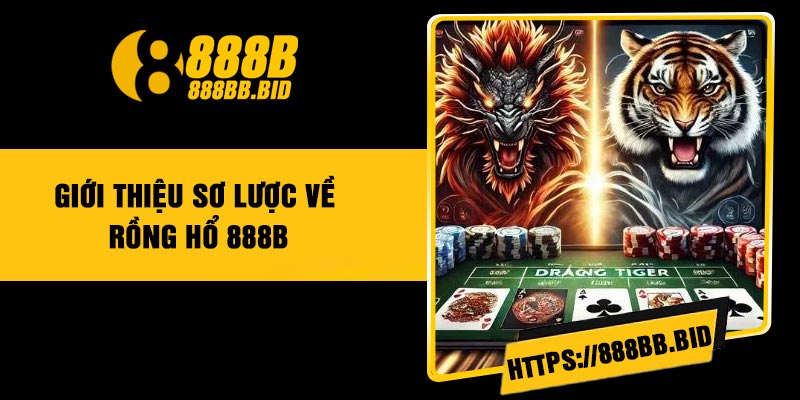 Giới thiệu sơ lược về Rồng Hổ 888B