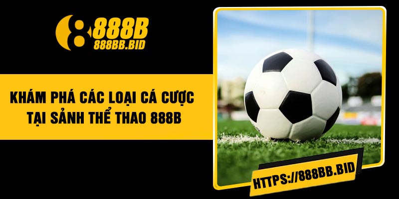 Khám Phá Các Loại Cá Cược Tại Sảnh Thể Thao 888B