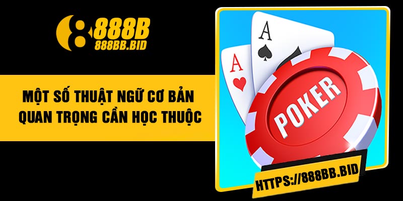 Một số thuật ngữ cơ bản quan trọng cần học thuộc