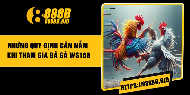 Những quy định cần nắm khi tham gia đá gà WS168