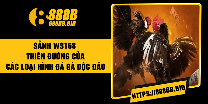 Sảnh WS168 – Thiên Đường Của Các Loại Hình Đá Gà Độc Đáo