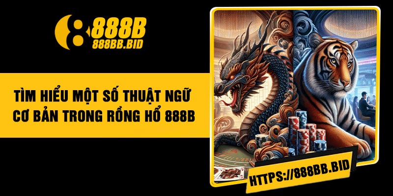 Tìm hiểu một số thuật ngữ cơ bản trong Rồng Hổ 888B